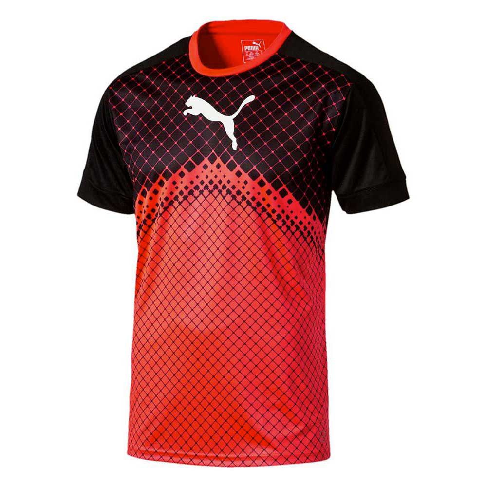 Puma IT evoTRG Graphic Tee buy and offers on Runnerinn