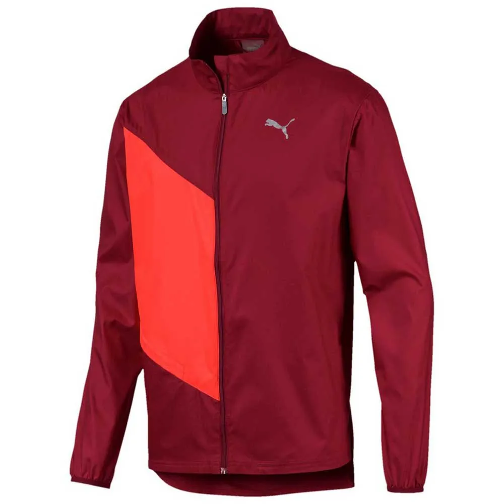 ignite blocked jacket