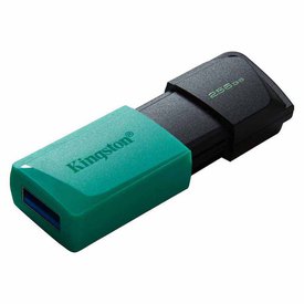 Kingston USB 3.2 256GB USB Stick