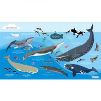 Oceanarium Serviette Cetaceans L