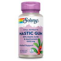 solaray-mastic-gum-500mgr-45-einheiten