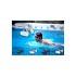 Sunstech Écouteurs De Sport Argos Mp3 Waterproof