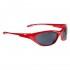 Alpina Seico Sunglasses
