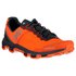 On running Cloudventure Trail Running Shoes