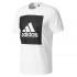 adidas Essentials Big Box Logo Short Sleeve T-Shirt