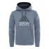 The north face Surgent Halfdome Po Hoodie