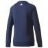 adidas Linear Crewneck Sweatshirt