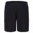 The north face Short Ambition