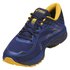 Asics Gel-Cumulus 19 Goretex Running Shoes
