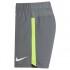 Nike Pantalones Cortos Dry Challenger 6 Inch