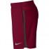 Nike Challenger Lined Short Pants