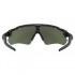 Oakley Radar EV Path Prizm Sunglasses