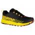 La Sportiva Lycan Goretex trail running shoes