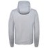 The north face Surgent EU Hoodie