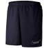 Nike Windrunner Graphic 7´´ Short Pants