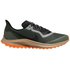 Nike Chaussures Zoom Pegasus 36 Trail Goretex