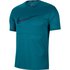 Nike Breaethe Run Windrunner Graphic Short Sleeve T-Shirt