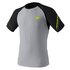 Dynafit Alpine Pro short sleeve T-shirt