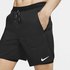 Nike Flex Stride 7´´ 2 In 1 Kurze Hosen