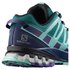 Salomon XA Pro 3D v8 Goretex Trail Running Shoes