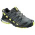Salomon XA Pro 3D V8 Goretex Trail Running Schuhe