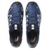Salomon XA Pro 3D V8 Goretex Trail Running Shoes