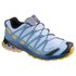 Salomon XA Pro 3D v8 Goretex Trail Running 靴