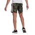 adidas Essentials French Terry Camouflage kurze hose