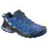 Salomon XA Pro 3D V8 Goretex Trail Running Shoes