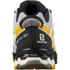 Salomon XA Pro 3D V8 Goretex trail running shoes